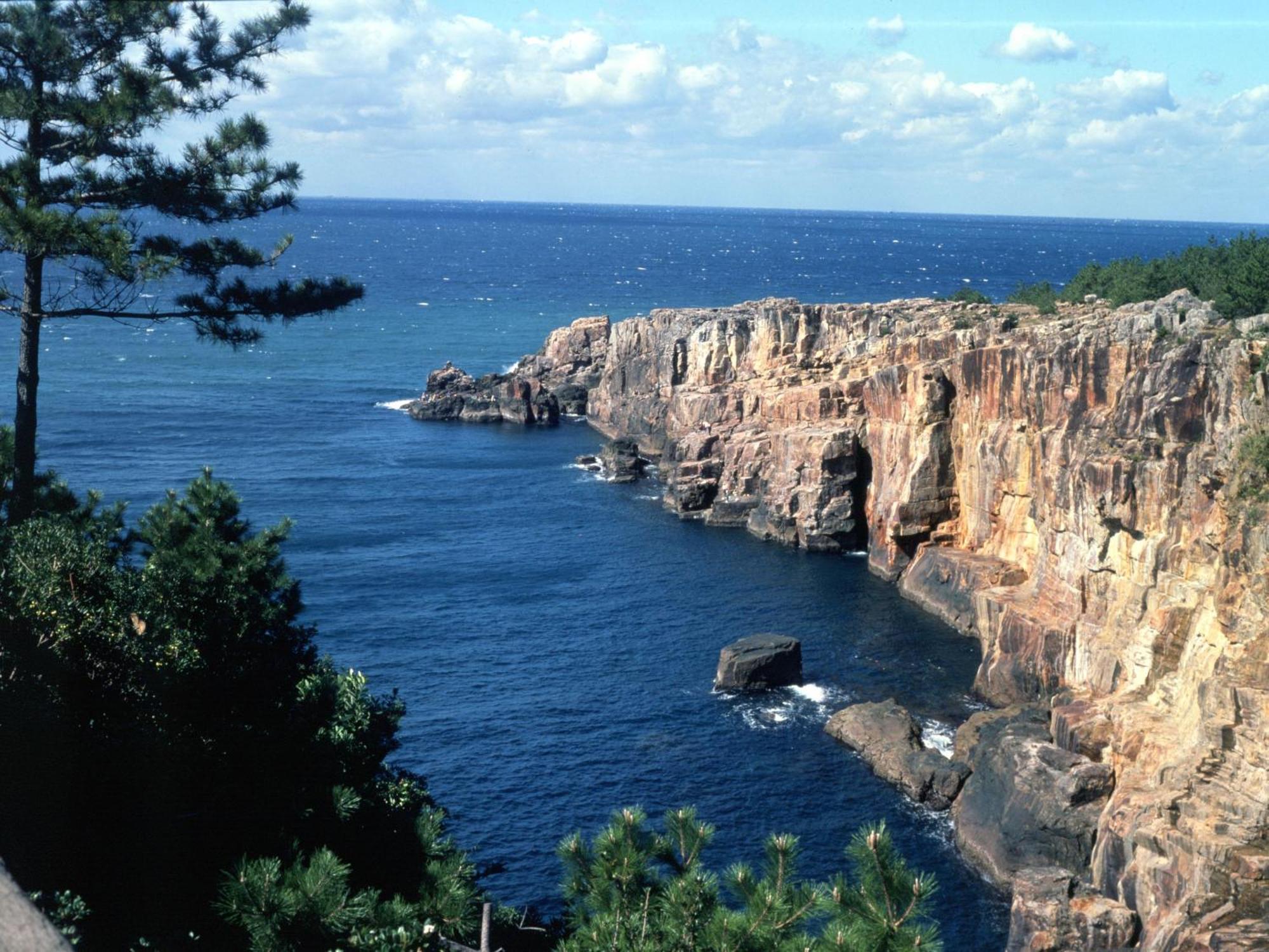 Taoya Shirahama Senjyo Exterior foto